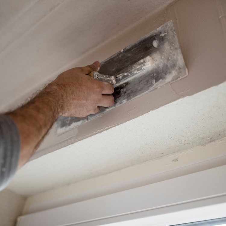 Painting services in Sarasota, FL